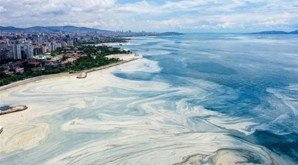 Müslilaj Geri Mi Gelecek? 2022’de Müsilaj Olacak Mı?